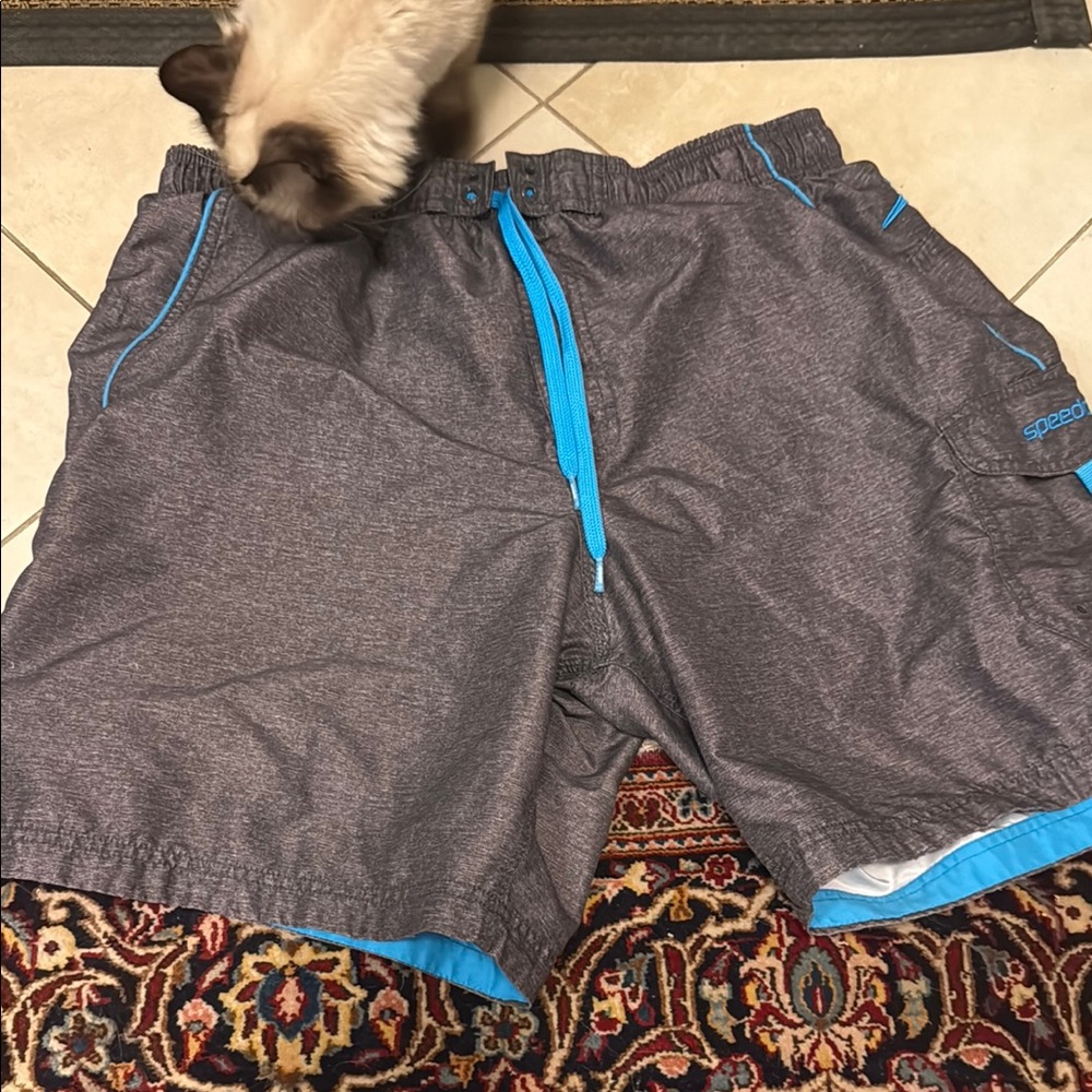 Speedo Charcoal and Aqua Swim Trunks